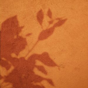 Fond Ombre d'Automne