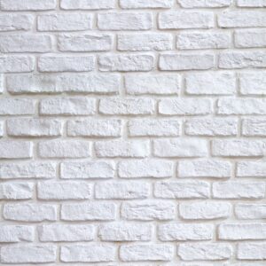 Fond White Brick Wall